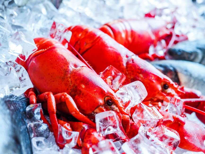 Lobster Tote